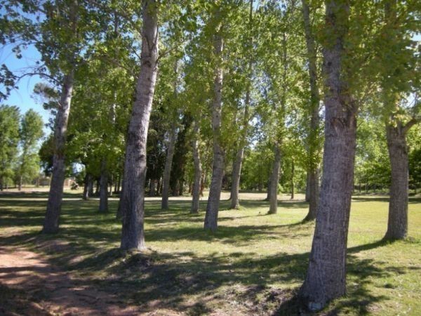 Urbanización Verdemora, barrio privado, Punta Ballena